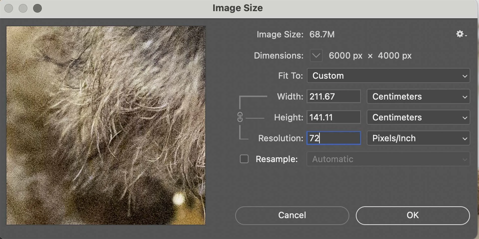  At 72PPI, the 6000 x 4000 pixel image would 'measure' 211.67 x 141.11cm. 