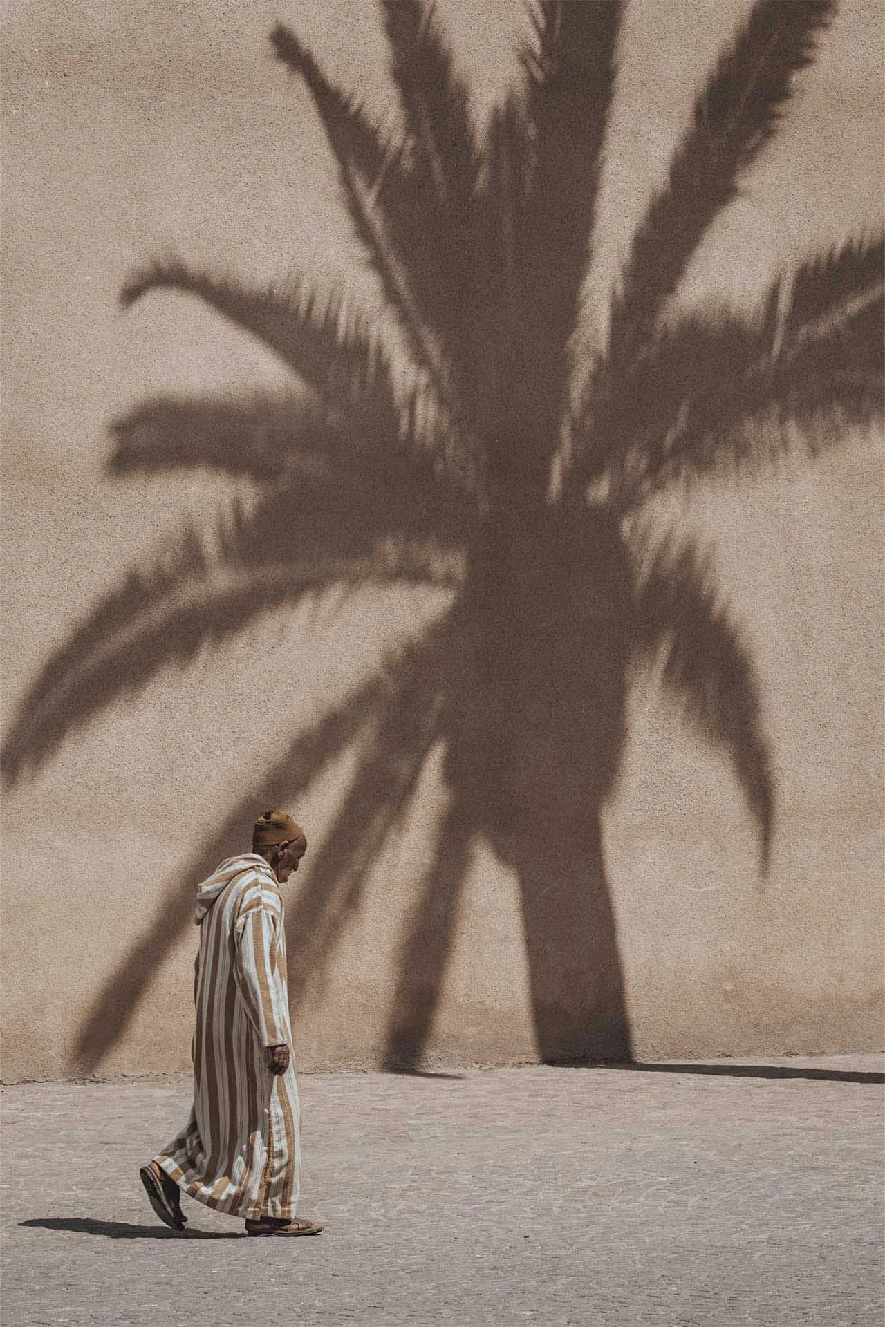  Chasing Shadows by Marusa Uranjek 