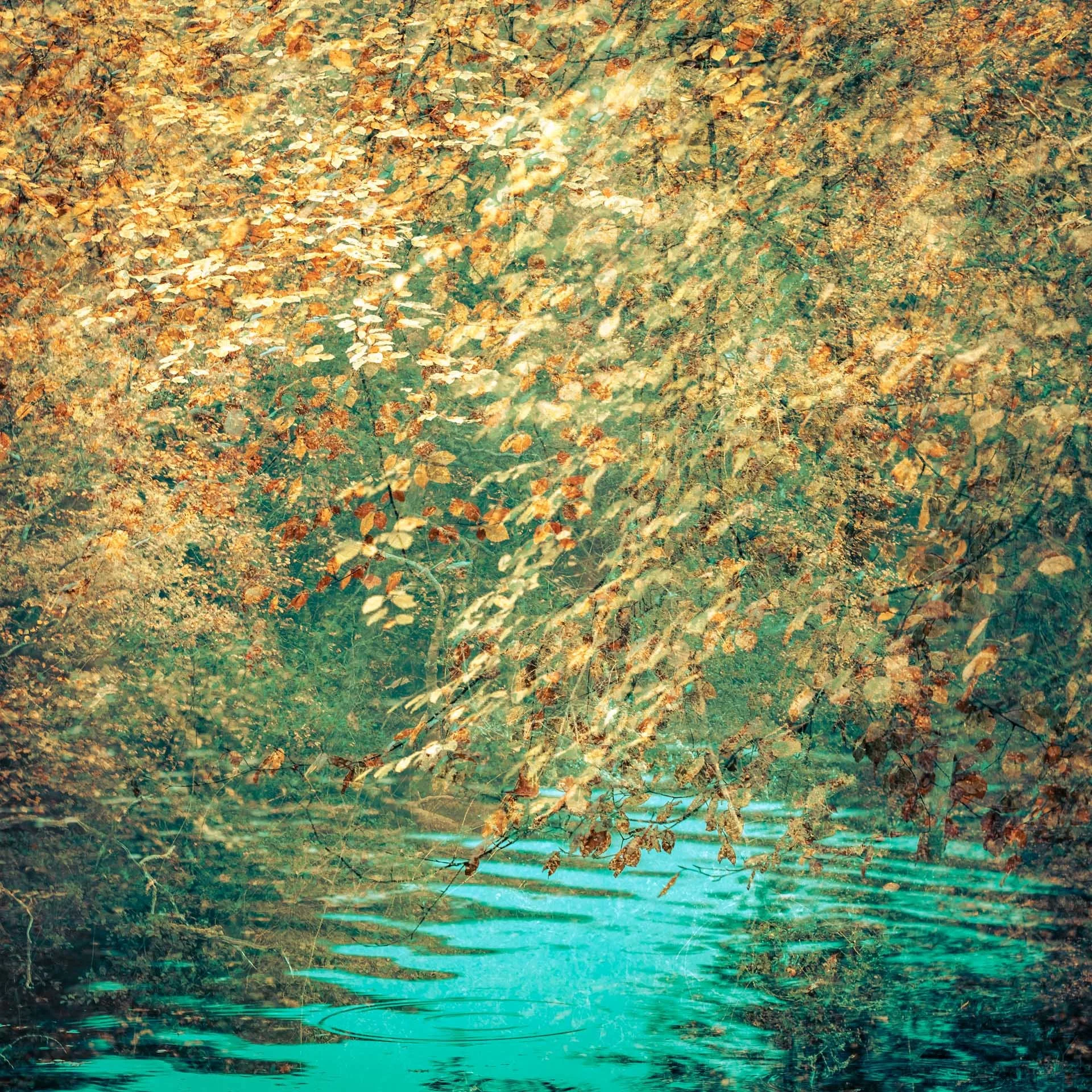  Ana Peiró Muñoz’s shortlisted image in the Creative category of the Open Competition. 