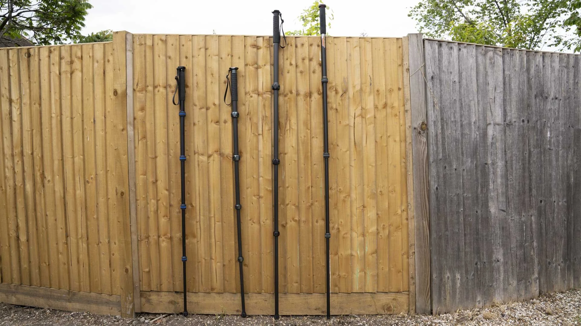  From left to right, the 3 Legged Thing Taylor 2.0, Alana, Lance and Trent 2.0, all shown at their longest lengths: 1.58 m / 62.2 in, 1.58 m / 62.3 in, 2.02 m / 79.52 in and 2.02 m / 79.52 in respectively. 