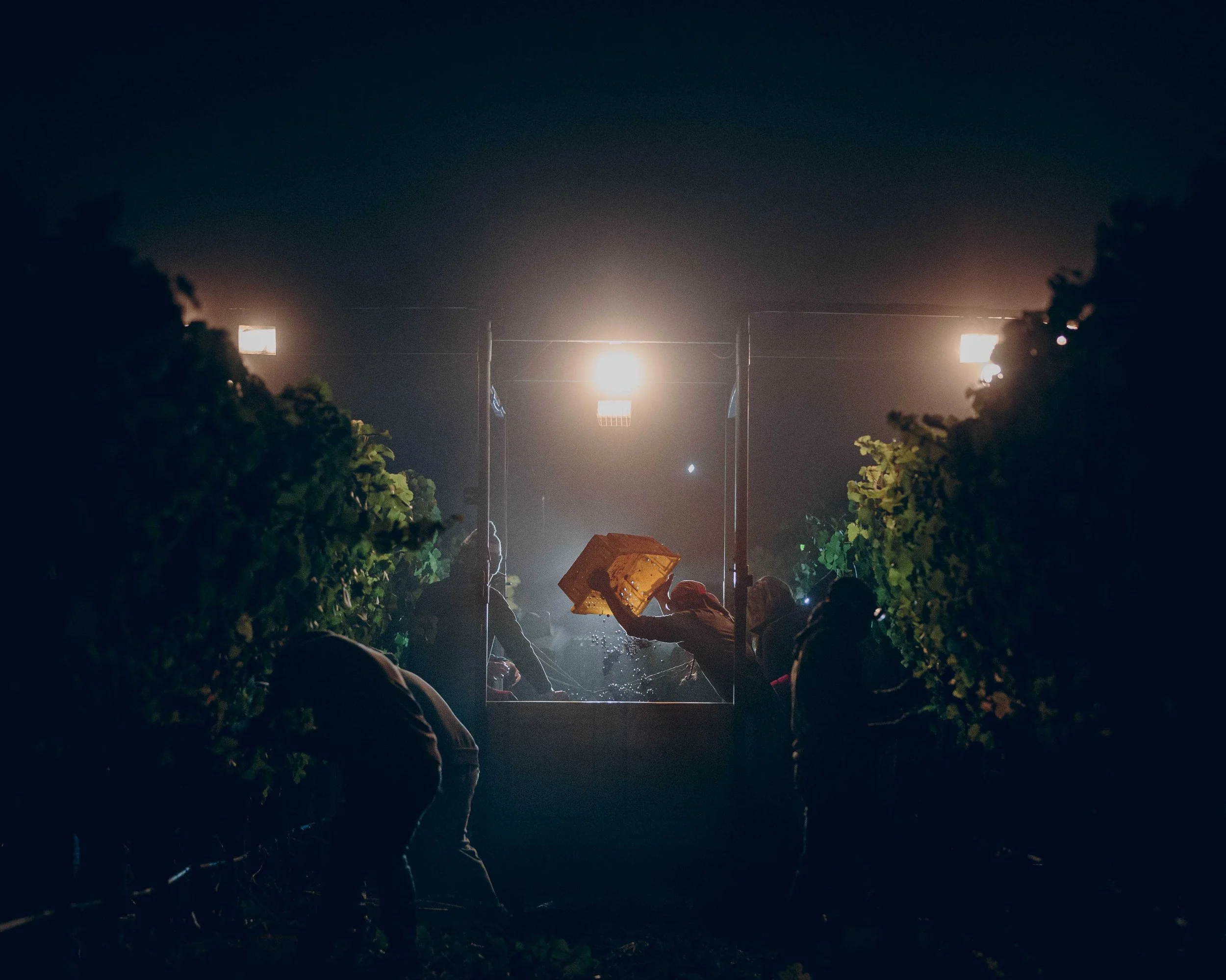  Overall Winner of Errazuriz Wine Photographer of the Year (and People sub-category): Heather Daenitz/World Food Photography Awards 