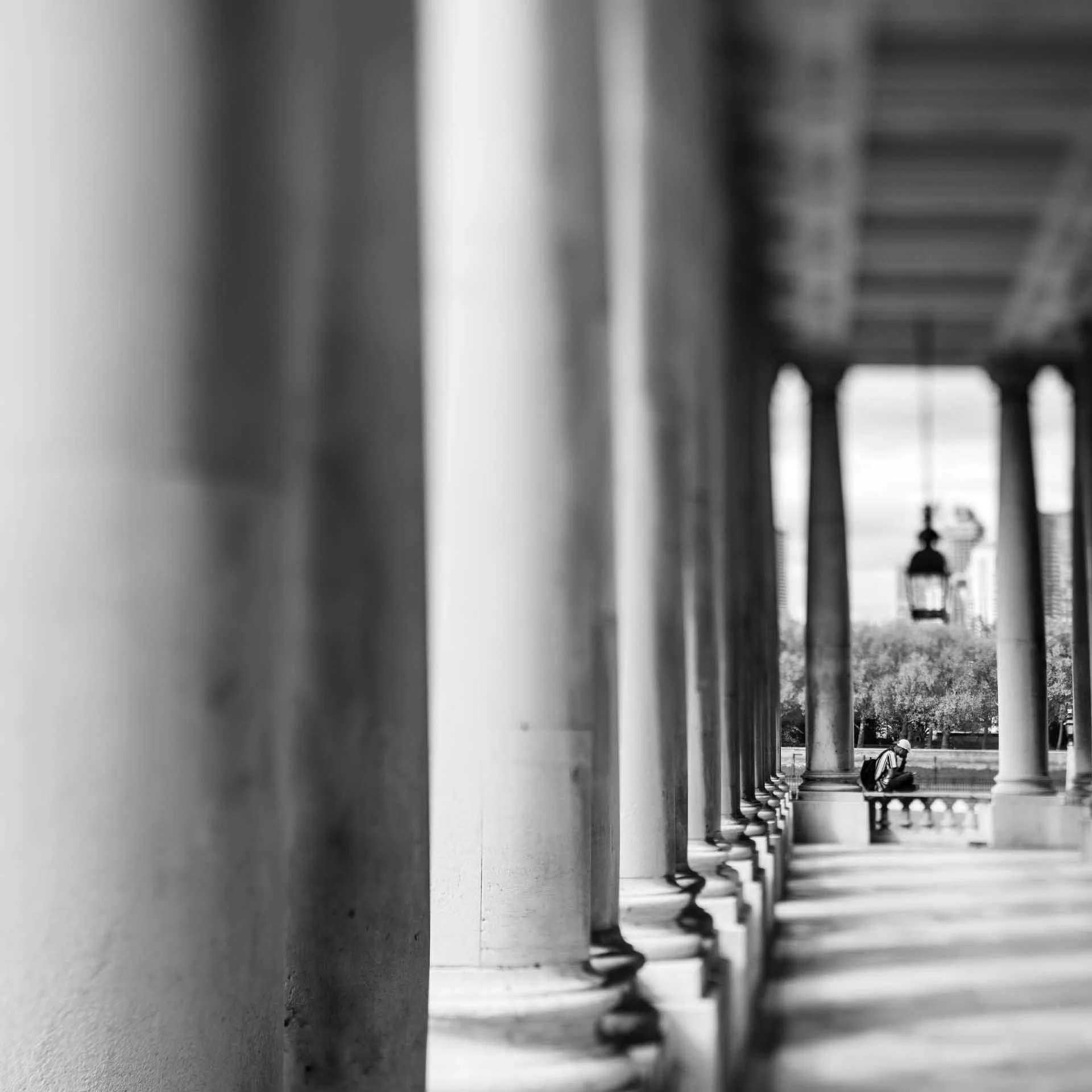  Image Credit: Paula Wilks. This image was captured using an Edge 50 in the Composer Pro II on the Sony A7R V. 