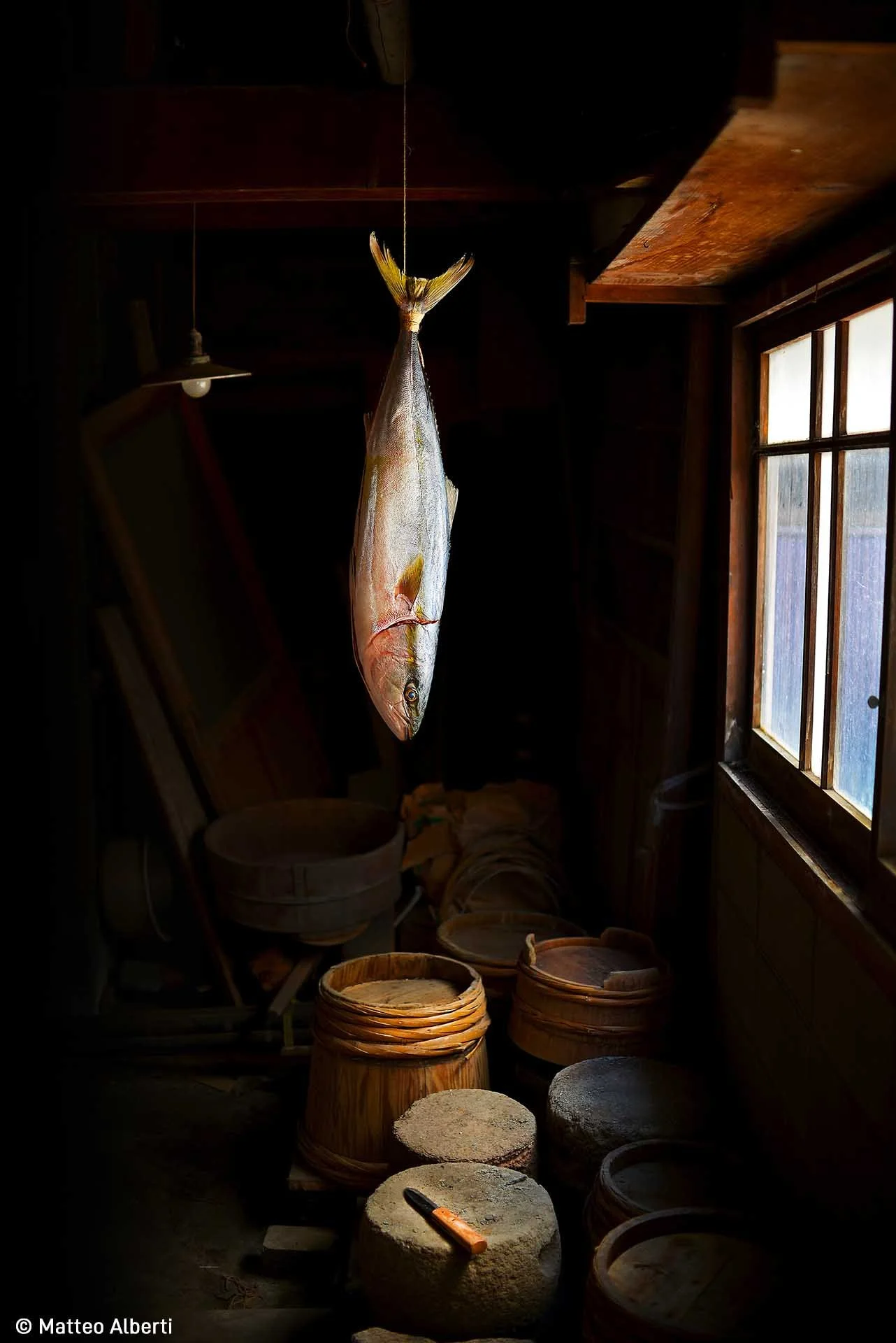  Image credit: Matteo Alberti	Hanging Buri (Yellowtail)	Buri is Japanese for the fish Seriola quinqueradiata, known in English as 'yellowtail'. For centuries, fishermen filleted buri, salted them, dried them for about ten days, and finally wrapped them in leaves and long rice-straw ropes before hanging them in front of their houses, exposed to the sea breeze. 