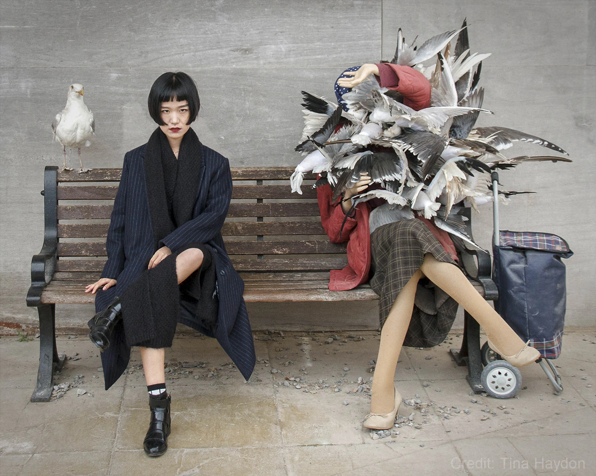 Surreal bench scene with a woman sitting calmly next to another covered by seagulls, wooden bench, urban background.