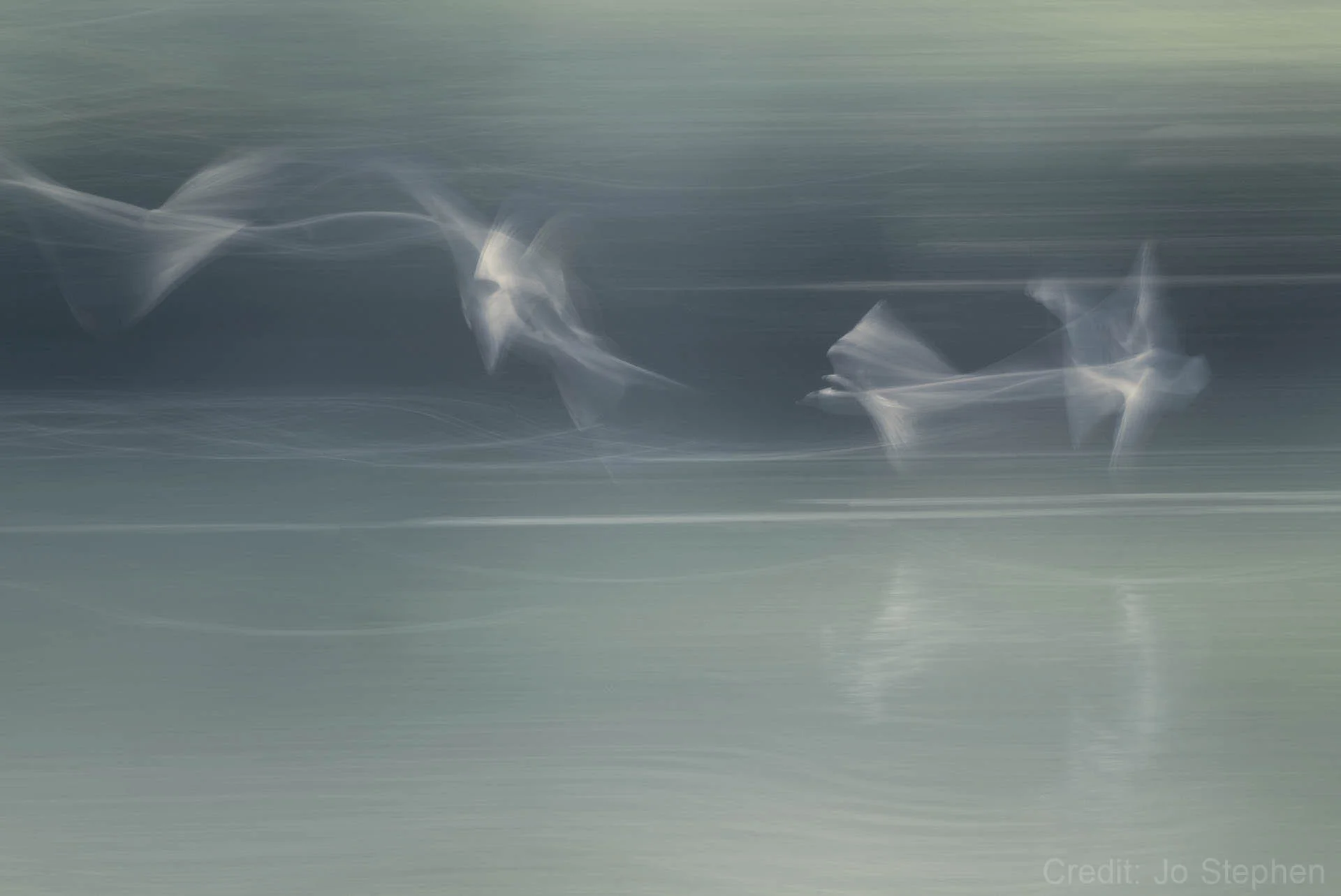 Abstract motion blur of birds flying over water