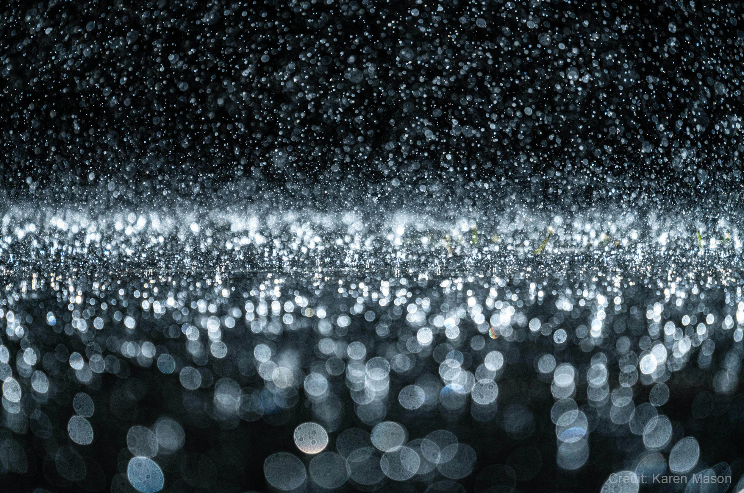 Close-up of rain droplets in the dark with bokeh effect, creating a sparkling, abstract background.