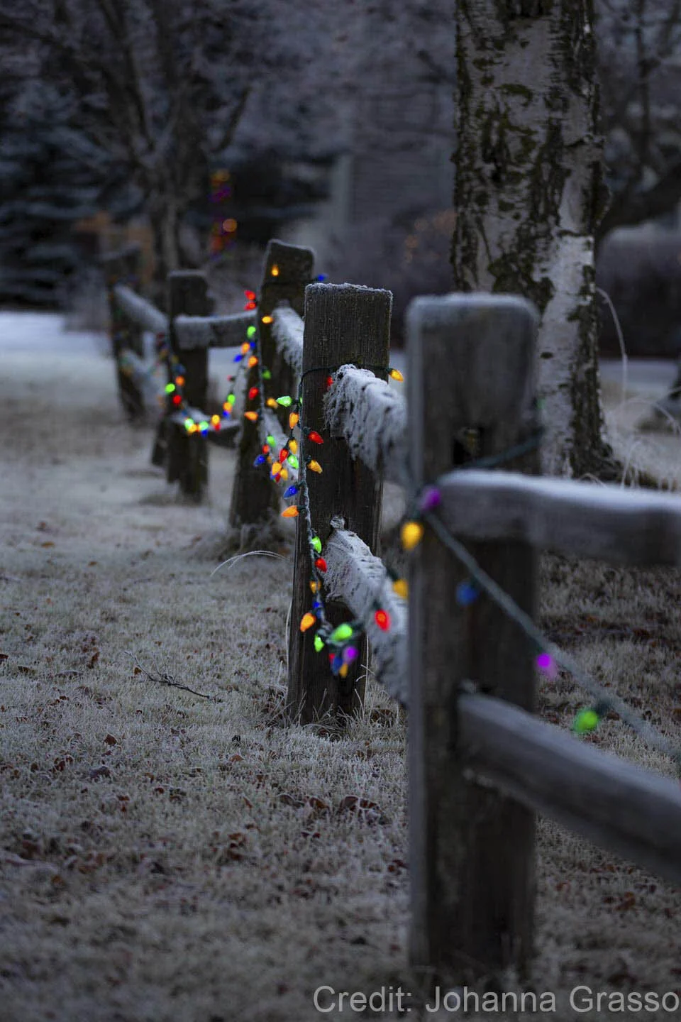Wooden fence with colorful Christmas lights in a frosty outdoor setting