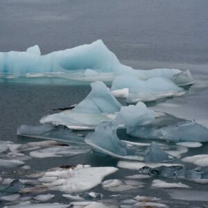 Broken blue-white icebergs floating in a cold gray lagoon with thin sheets of ice around them.