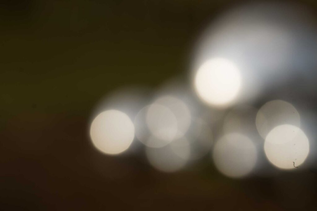 Out-of-focus circular light bokeh against a dark background