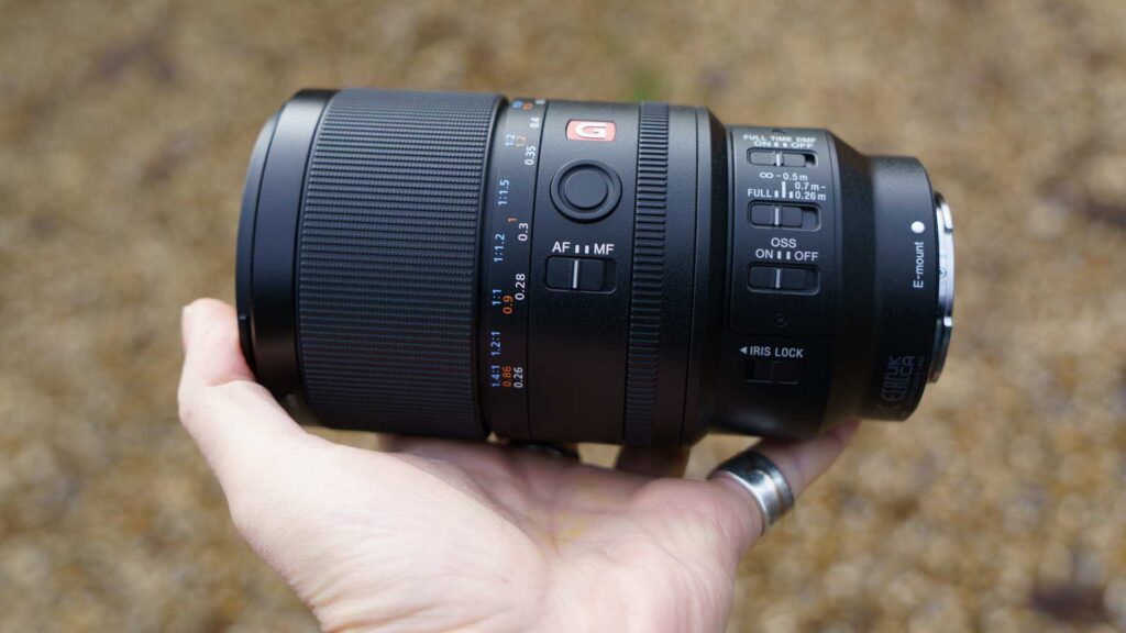 Sony FE 100mm F2.8 Macro GM OSS Review