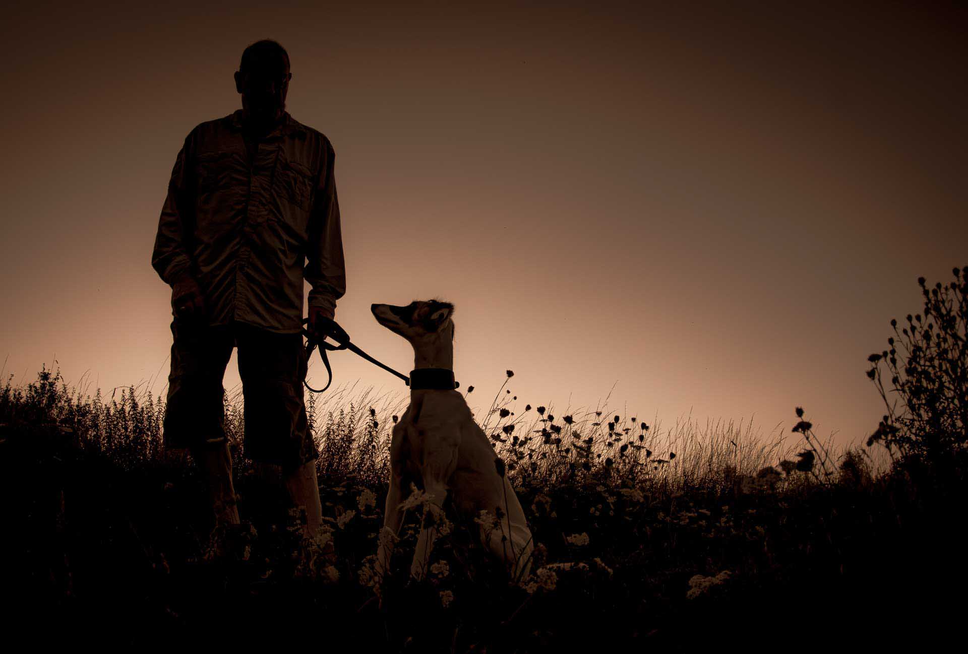 Silhouette of a person holding a dog on a leash at sunset in a grassy field.