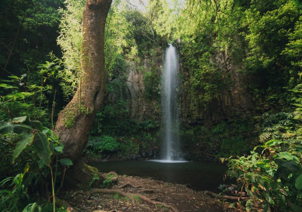 Tall narrow waterfall cascading into a pool within dense green forest and rocky cliff walls