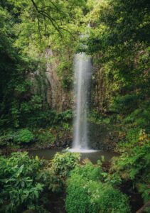 Tall narrow waterfall dropping into a small pool surrounded by dense green foliage and rocky cliff