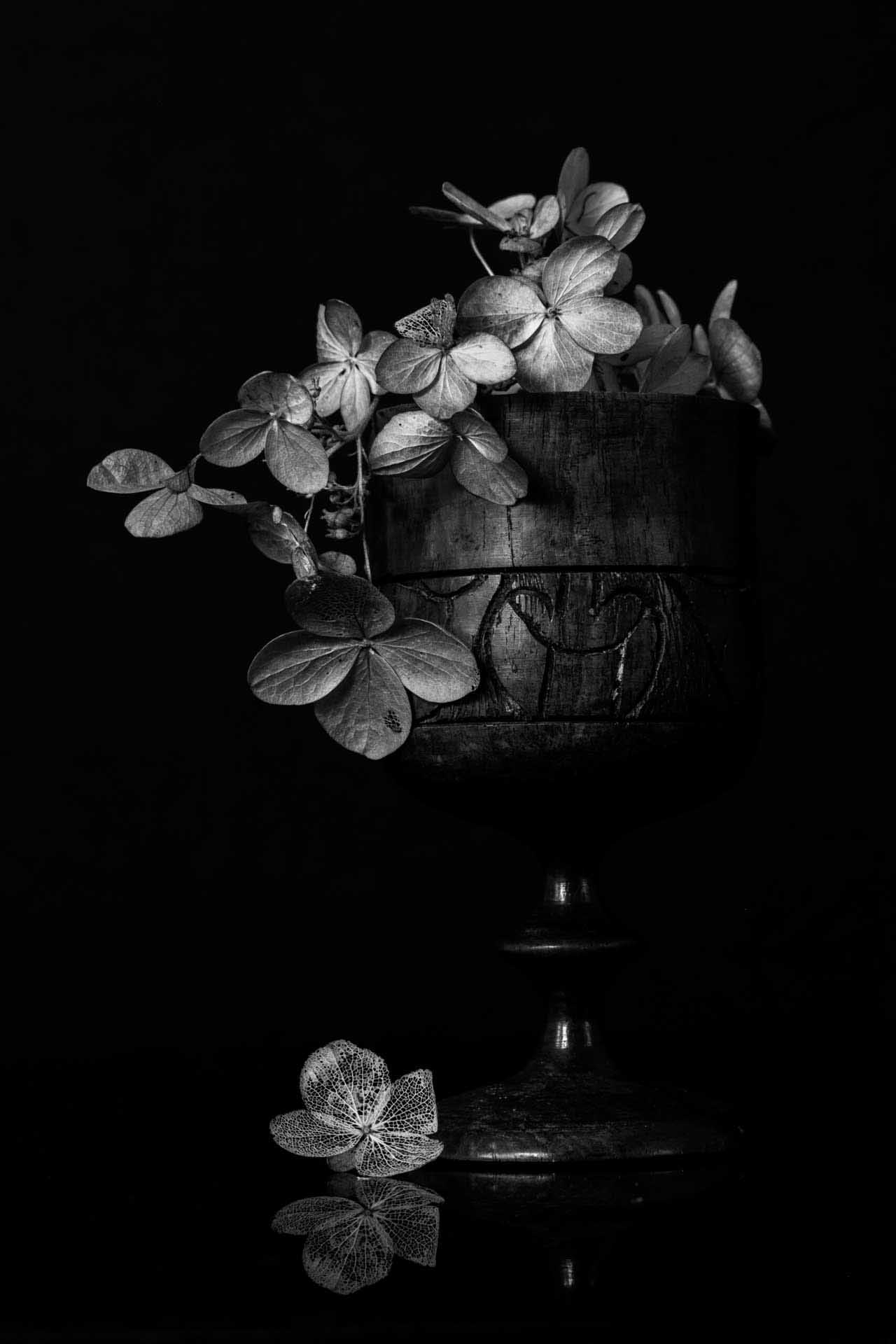 Black-and-white still life of hydrangea flowers arranged in a textured wooden goblet against a dark background, with a single petal resting below.