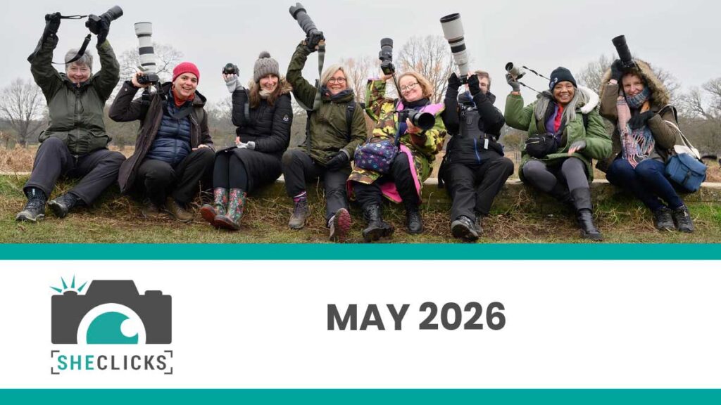 May 2026