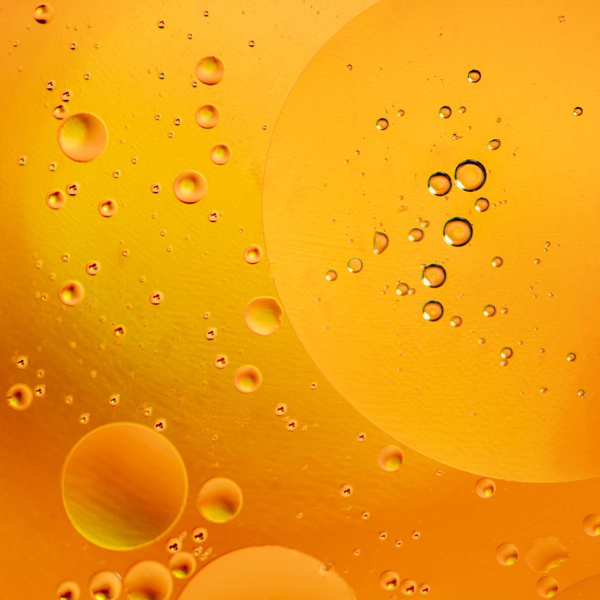 Macro view of orange and yellow oil droplets suspended in liquid.
