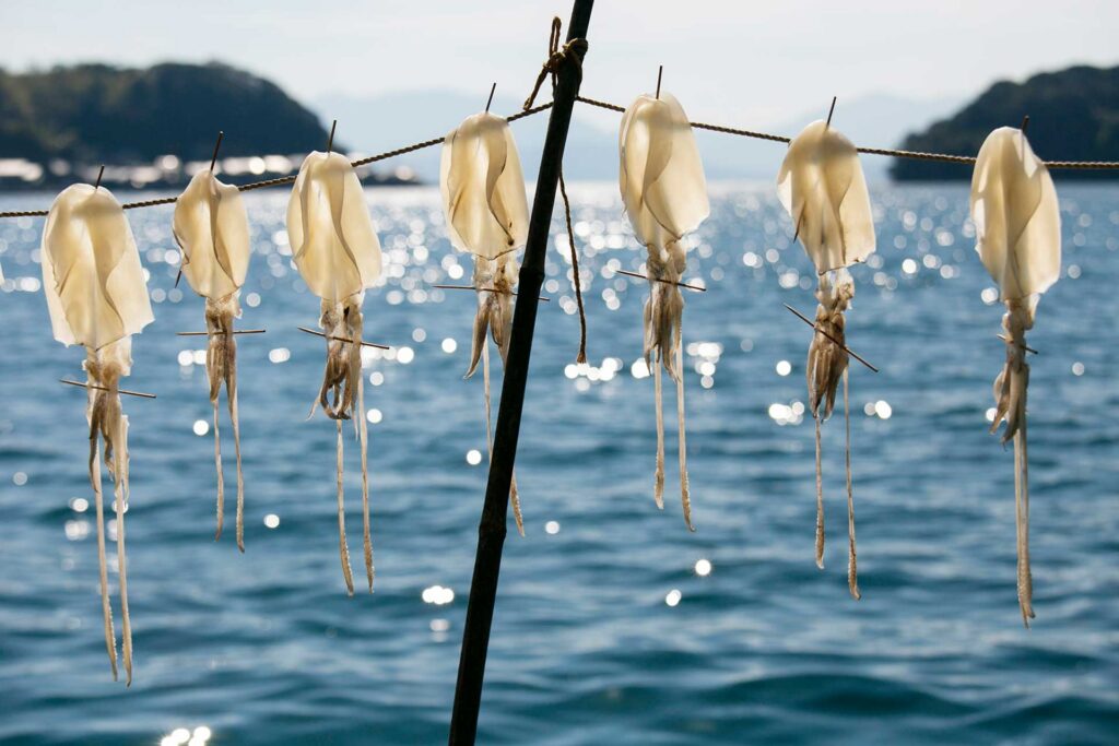 Several squid hanging from a rope to dry above sparkling blue water, with distant islands blurred in the background.