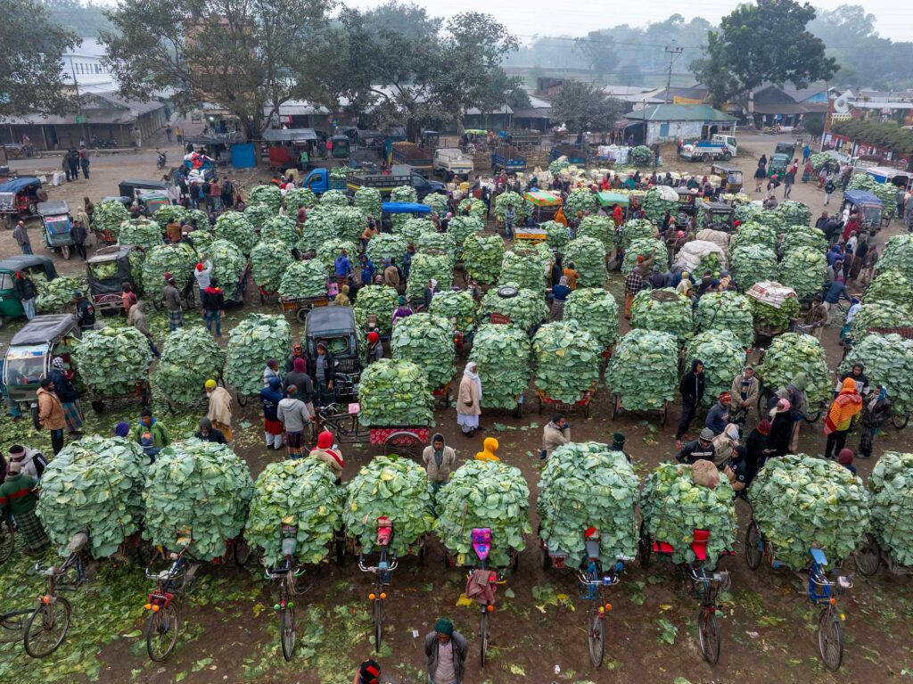 Crowded wholesale vegetable market filled with bicycles and carts stacked high with leafy greens.