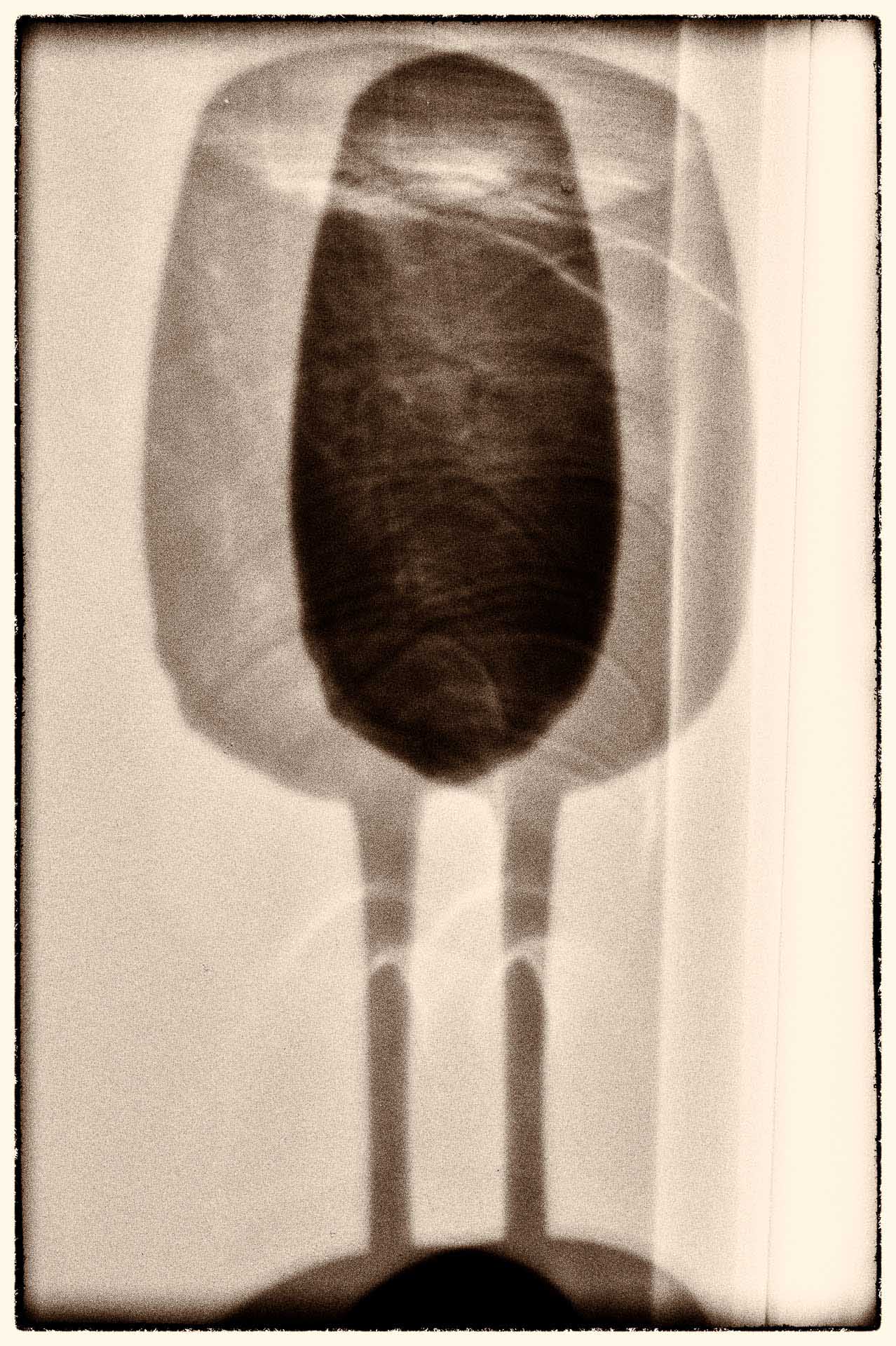 Abstract sepia image of overlapping shadows resembling a tulip flower.