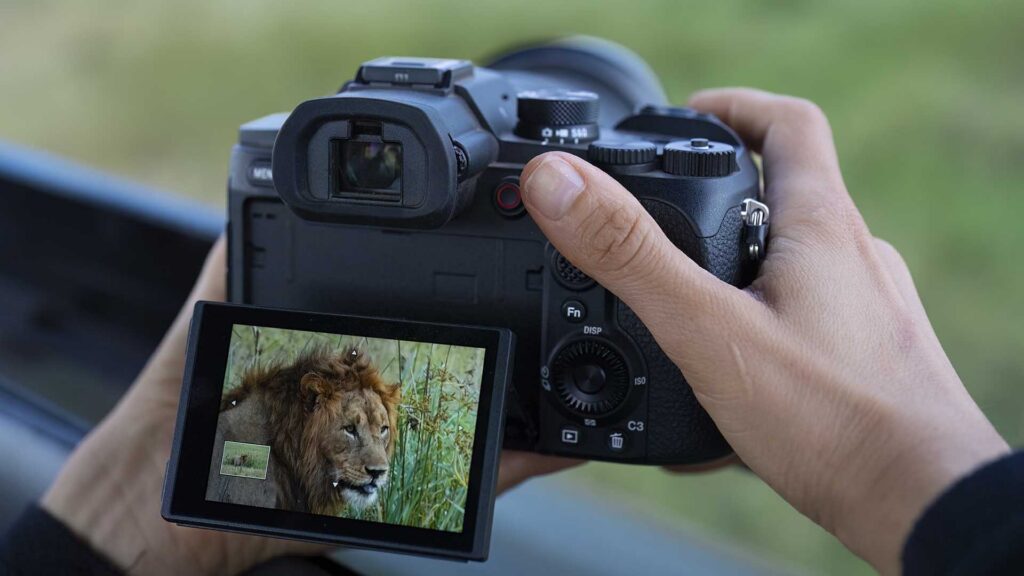 Person holding the Sony RX10 V with the rear LCD screen flipped out, displaying a close-up photo of a lion. The electronic viewfinder, rear controls and articulated screen are clearly visible.