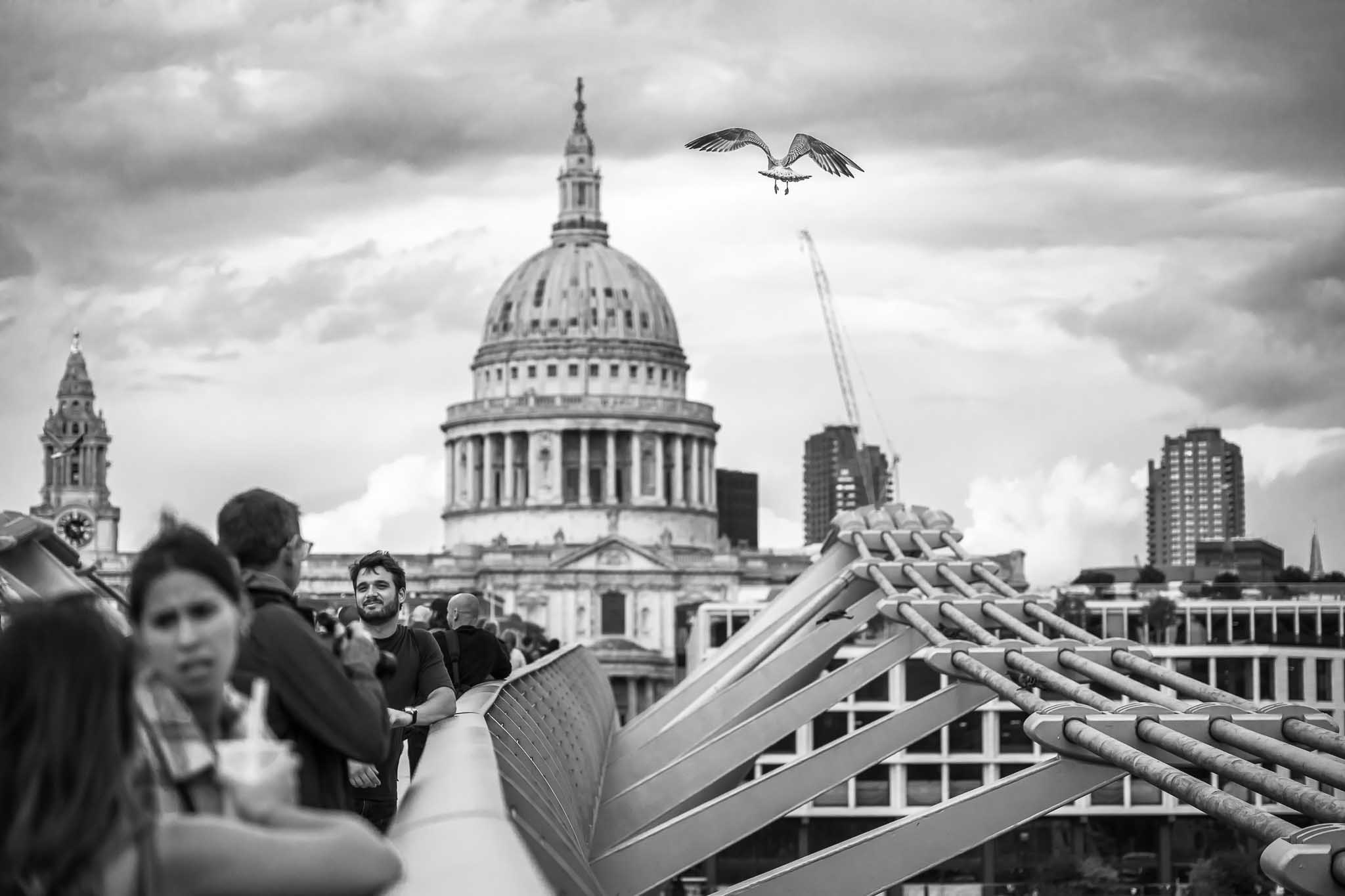 Black-and-white view of pedestrians on Millennium Bridge beneath a flying gull, with St Paul’s Cathedral and storm clouds behind.