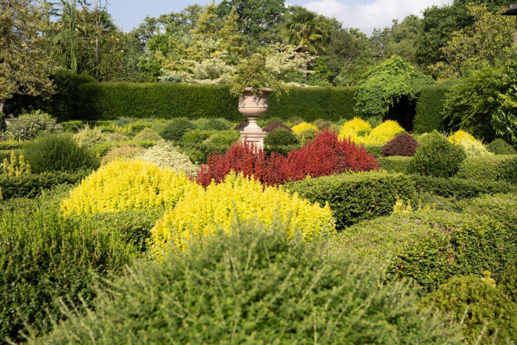 Formal garden filled with clipped shrubs, yellow and red planting, and a stone urn against tall hedges.