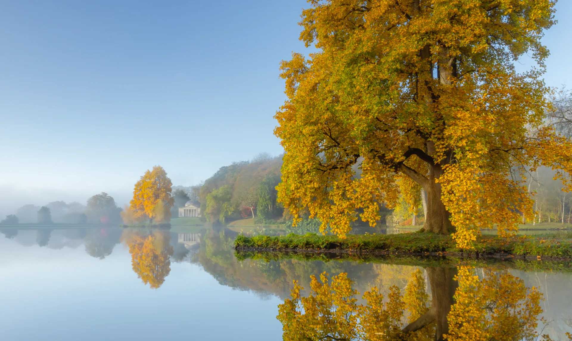 Large golden autumn tree beside a calm misty lake, with its reflection mirrored in the water and a small classical building in the distance.