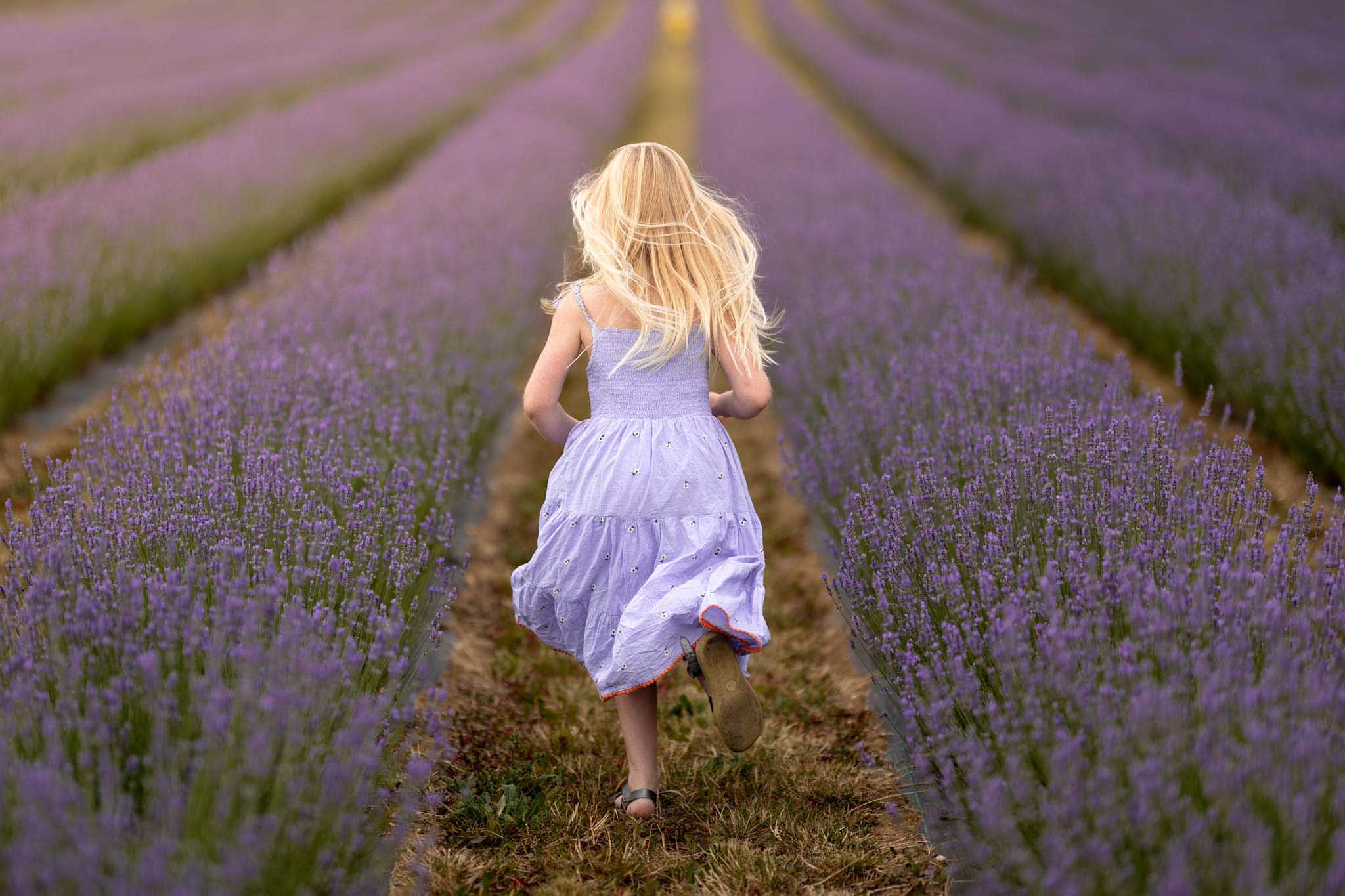 Blonde girl in a pale purple dress running away from the camera along a path between symmetrical rows of flowering lavender.