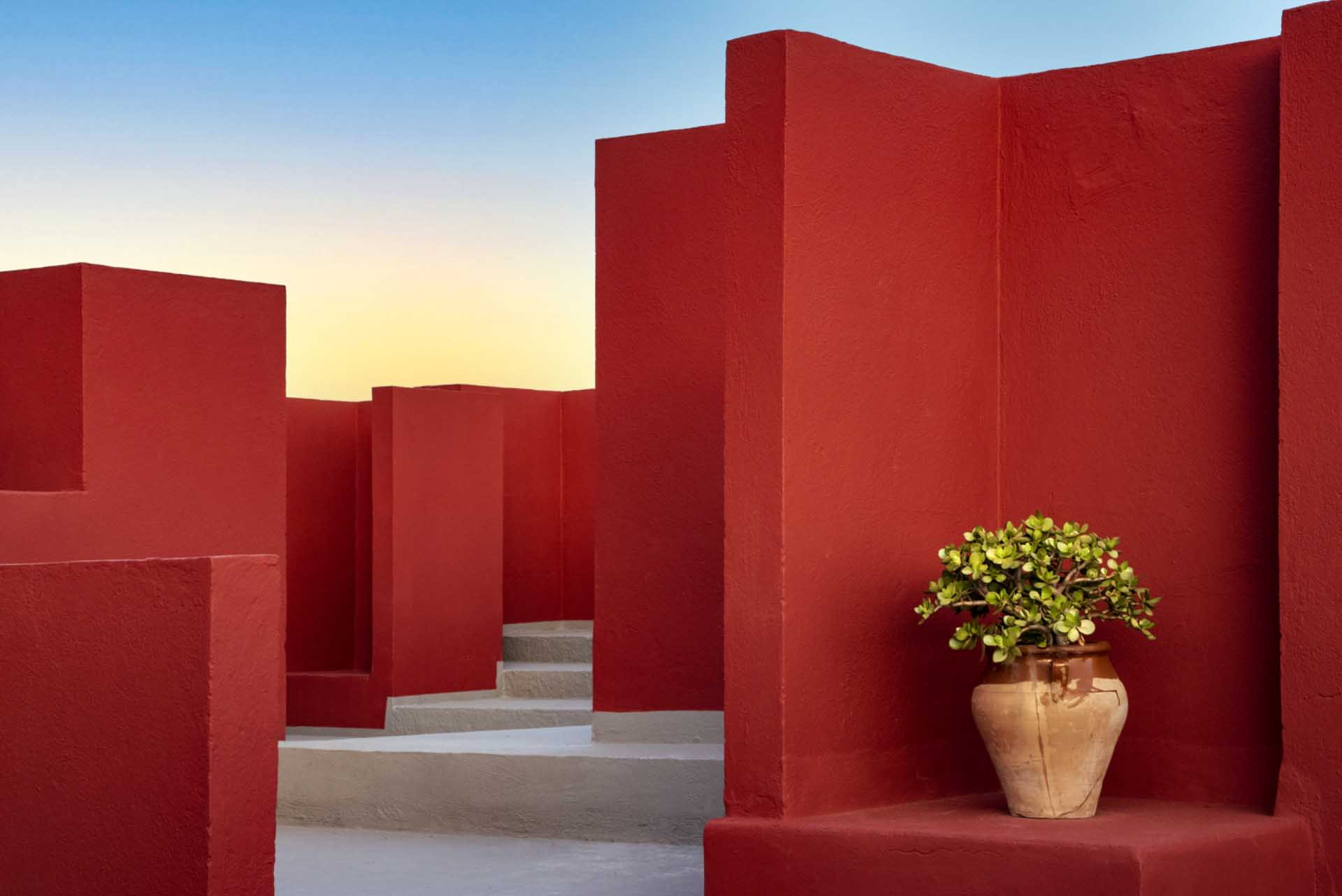 Geometric red walls and steps beneath a clear blue sky, with a leafy plant in a terracotta pot placed in a recessed alcove.