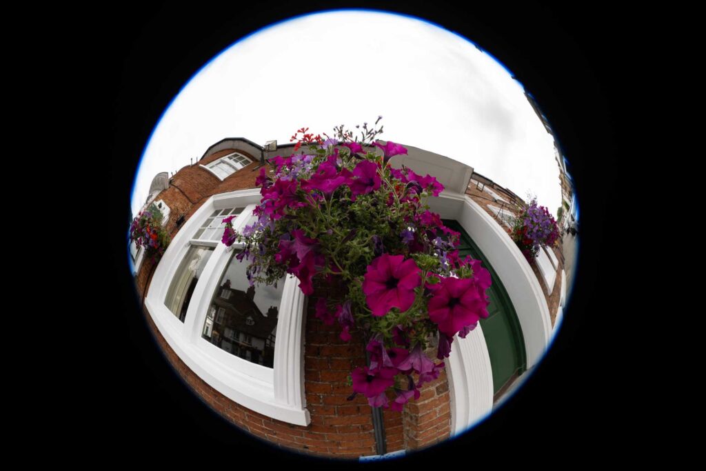 Circular fisheye view looking up at a hanging basket of magenta and purple flowers on a red-brick building.