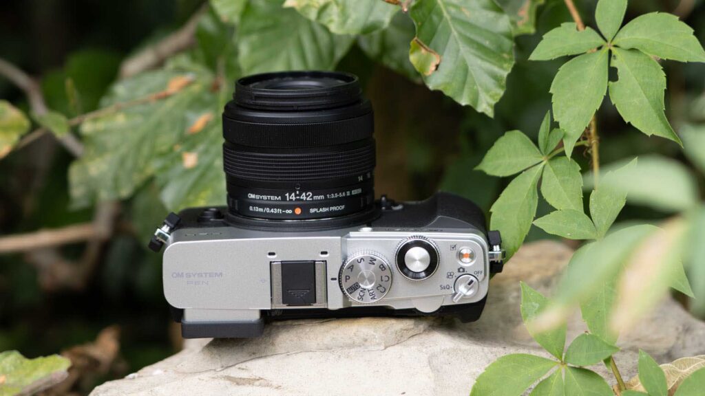 Silver and black OM System PEN with M.Zuiko Digital 14–42mm F3.5–5.6 III lens, viewed from above on a rock among green leaves.