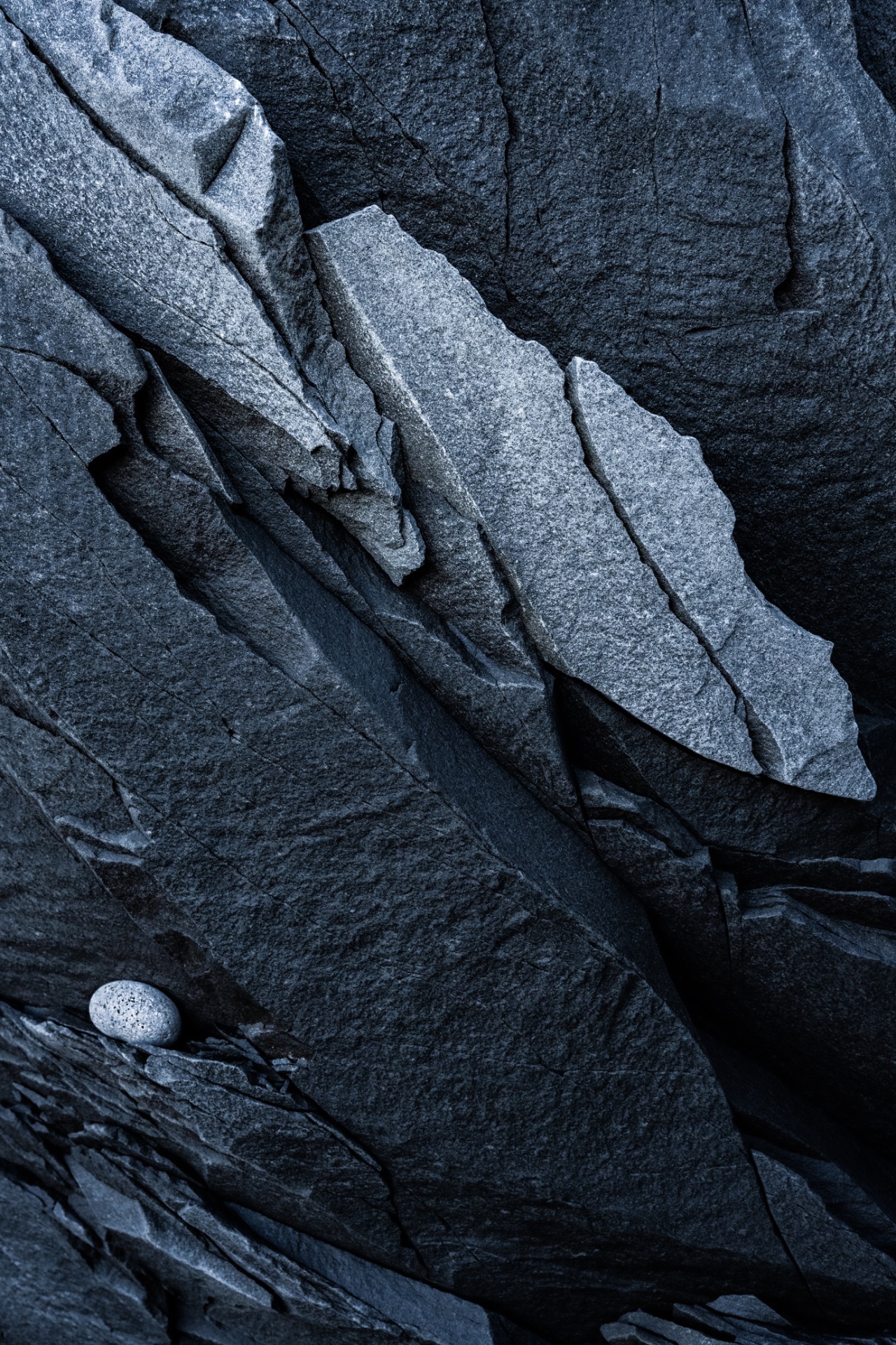 Angular blue-grey rock formations fill the frame, with a single smooth pale pebble resting near the lower left.