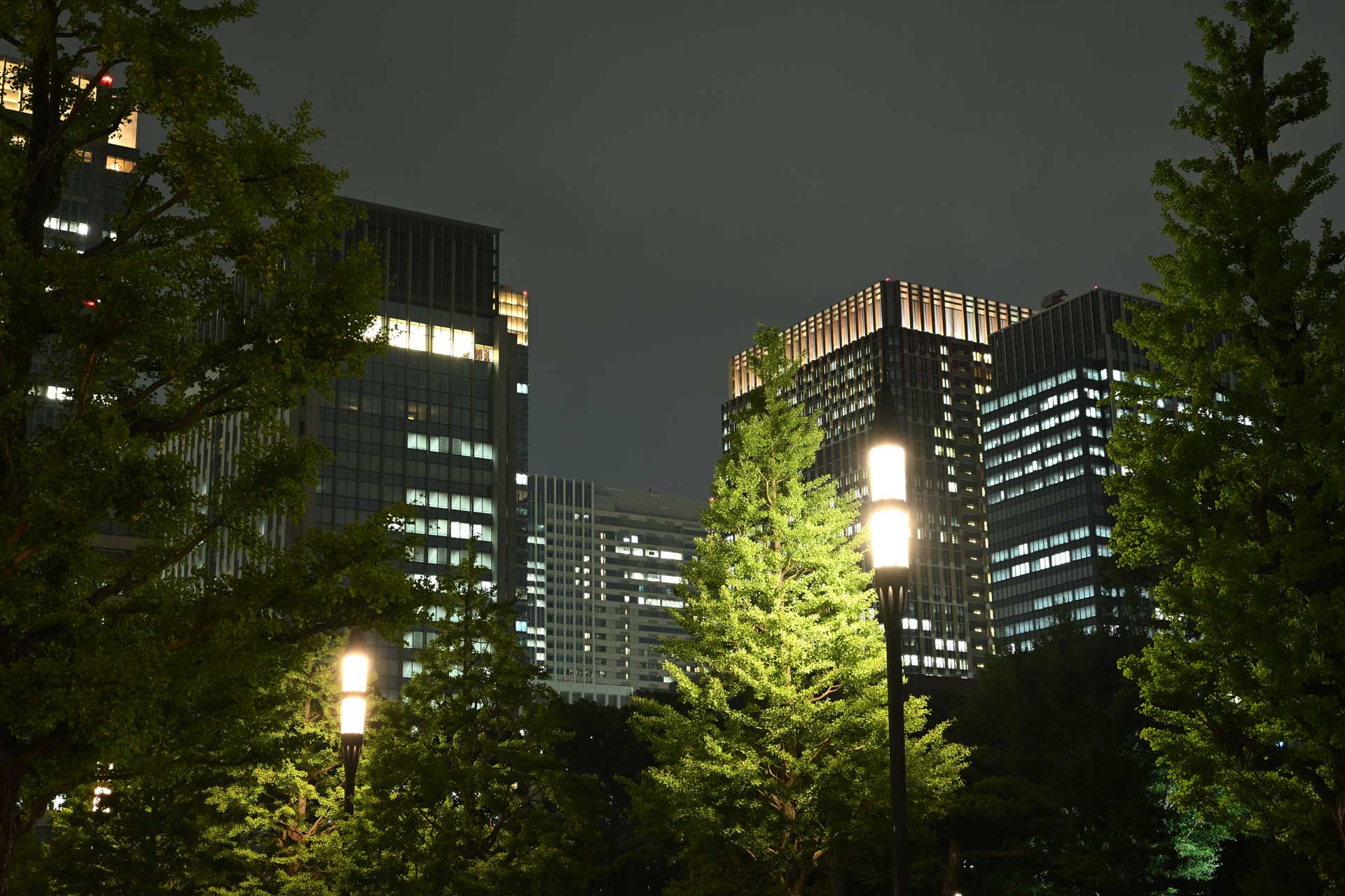 Illuminated office buildings rise behind trees and streetlights beneath a dark night sky.