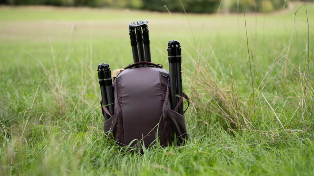 Three folded tripods standing in and beside a camera backpack in long grass.